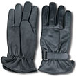 Motorcycle Gear
